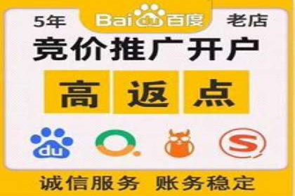 百度SEO推广公司案例：如何快速提升网站排名